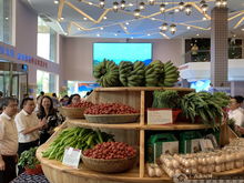 上林扶贫农副产品展销中心在南宁揭牌，助力乡村振兴新篇章